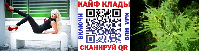 Виды наркотиков купить Елизаветинская Alpha-PVP  Мефедрон  МАРИХУАНА 