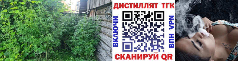 OMG tor  Елизаветинская  ТГК концентрат 