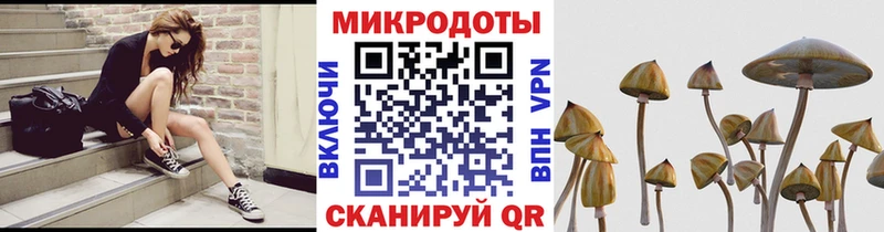 Галлюциногенные грибы Cubensis  цены наркотик  Елизаветинская 